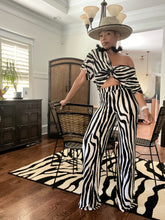 Load image into Gallery viewer, Zebra Print 2 pc. Set